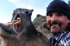 Selfie với gấu, người đàn ông bị cắn tử vong