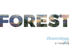 3 nguồn mà bạn có thể tìm kiếm những video miễn phí bản quyền