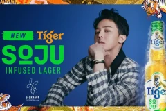 G-Dragon: Ngôi sao Kpop nổi tiếng sẽ về Việt Nam