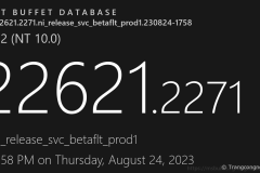 Microsoft phát hành Windows 11 Beta 226x1.2271, sửa lỗi sự cố treo hệ thống