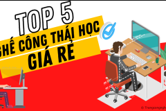 Top 5 ghế công thái học giá rẻ cho sinh viên được mua nhiều nhất 2023