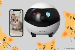 Trên tay Robot “bảo mẫu thú cưng” kiêm camera trông nhà Enabot EBO SE