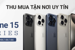 Táo Việt Store - Nơi Thu Mua iPhone Cũ Giá Tốt Tại TPHCM