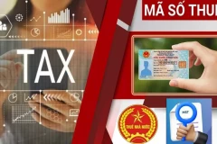Hướng dẫn chi tiết cập nhật số CCCD thành mã số thuế trên ứng dụng eTaxMobile