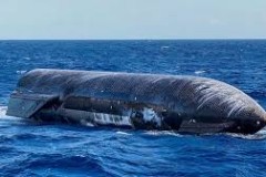 SpaceX Starship vẫn nổi trên biển 5 ngày sau chuyến bay