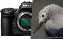 Nikon Z8 chính thức được giới thiệu: Kế thừa vị trí của D850 với mức giá $4000