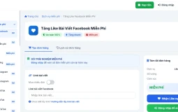 Mailike.xyz: Tăng Like, View TikTok - FB Uy Tín 2026