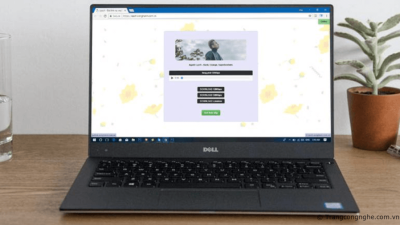 3 trang web hỗ trợ tải nhanh các tập tin trên các trang web nghe nhạc và lưu file