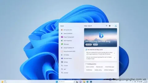 Bing AI đã được tích hợp với Windows 11