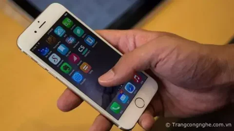 Khôi phục ảnh đã xóa trên iPhone trong một nốt nhạc
