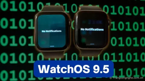 Apple Watch bị hiện tượng màn hình ám xanh khi cập nhật watchOS 9.5