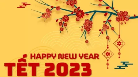 Tải 9999+ Thiệp chúc mừng tết độc đáo 2023 Download miễn phí