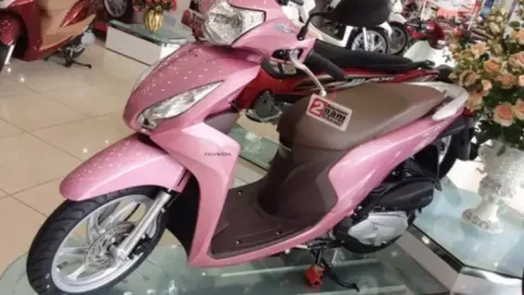 Honda Vision thêm màu hồng, giá không đổi