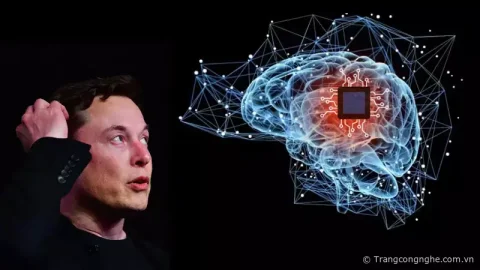 Elon Musk chuẩn bị cuộc thử nghiệm cấy chip vào não người