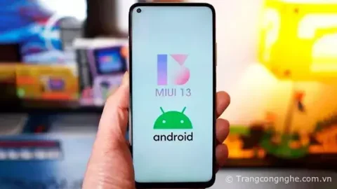 Cách cập nhật Android 12 cho Xiaomi với nhiều tính năng mới thú vị