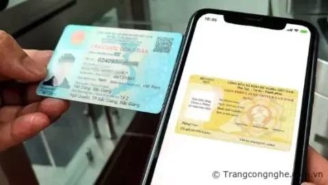 Cách tra cứu bằng lái xe trên thẻ Căn cước công dân cực kỳ tiện lợi