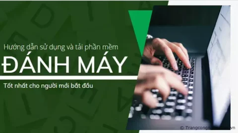 Hướng dẫn sử dụng và tải phần mềm đánh máy tốt nhất cho người mới bắt đầu