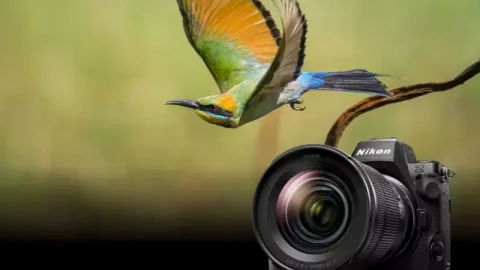 Ra mắt Nikon Z 8 - Máy ảnh kỹ thuật số không gương tiên tiến nhất của Nikon