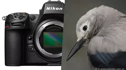 Nikon Z8 chính thức được giới thiệu: Kế thừa vị trí của D850 với mức giá $4000