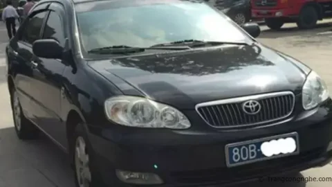 Biển số 80A, 80-NN, 80 biển trắng... được cấp cho những cơ quan nào?