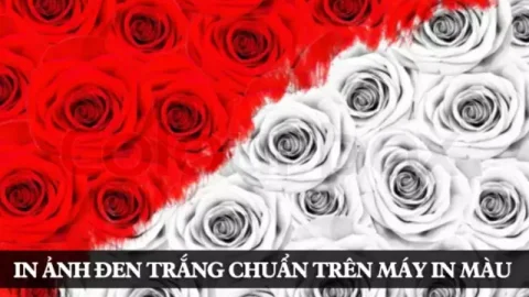 In đen trắng chuẩn với các máy in màu hiện nay