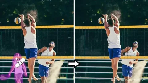 Hướng dẫn xóa vật thể bằng AI qua công cụ Remove Tool của Adobe Photoshop