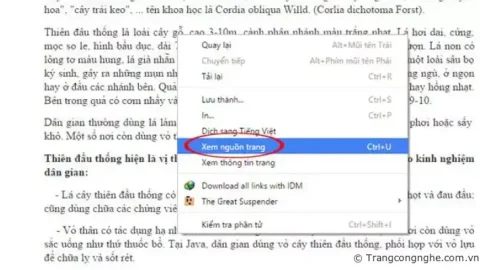 Hướng dẫn lấy nội dung của những trang web không được cho phép