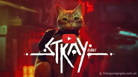 Stray: Trò chơi phiêu lưu về mèo nổi tiếng sẽ sớm được phát hành trên Mac