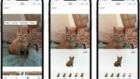 Biến hình ảnh của mình thành những hình dán động với iOS 17