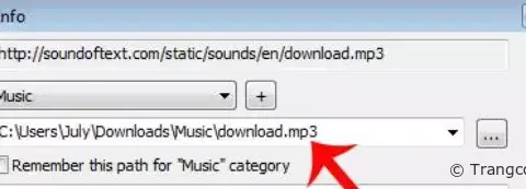 Ba cách tải audio trên Google Translate