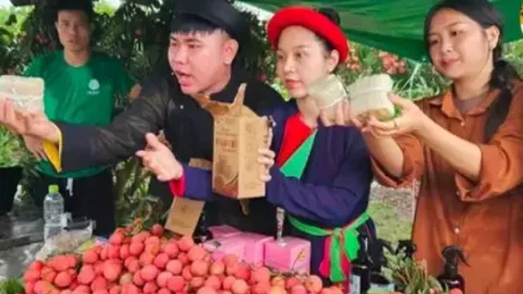 Hơn 40 KOL livestream trên Tiktok bán hết 23 tấn vải thiều thu về hơn 1 tỷ