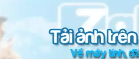 Hướng dẫn tải về hình ảnh trên Zalo về máy tính, điện thoại