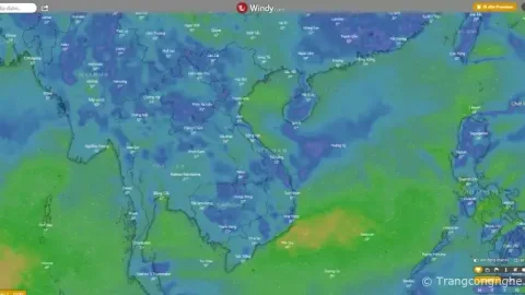 Cách sử dụng Windy.com để theo dõi bão, cập nhật tin tức về thời tiết 2025