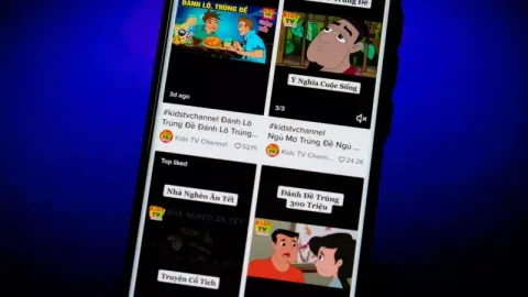 TikTok Việt Nam: Vi phạm quy định pháp luật