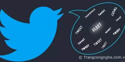 Hướng dẫn cách 'Tắt thông báo' Twitter trên máy tính thông qua Safari Desktop