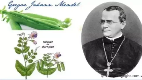 Sự thật về thuyết tiến hóa: Lý thuyết di truyền của Mendel bác bỏ học thuyết Darwin