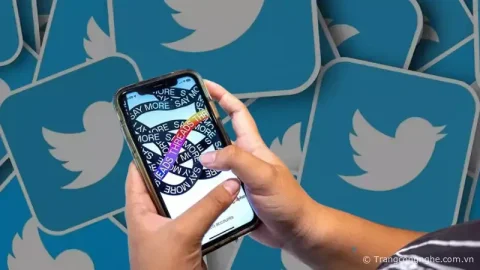 Instagram Threads sau hai tuần sử dụng, có thực sự "ngon" hơn Twitter?