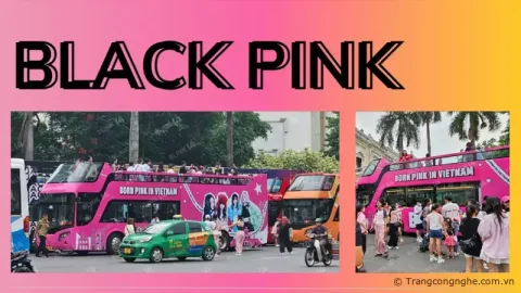 Ngày diễn ra concert Born Pink đến gần, 3 fansite lớn nhất Việt Nam chào đón bằng chuỗi dự án đặc biệt
