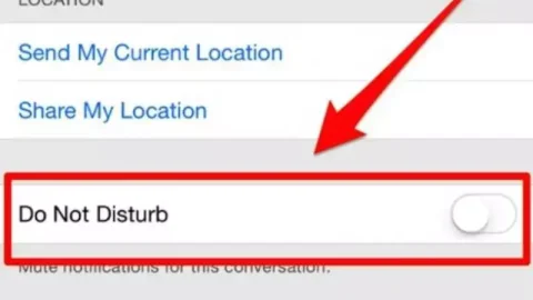 Hẹn giờ sử dụng tính năng không làm phiền trên iPhone, iPad