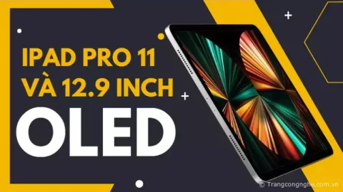 iPad Pro 11 và 12.9 inch với tấm nền OLED bắt đầu sản xuất từ 2024