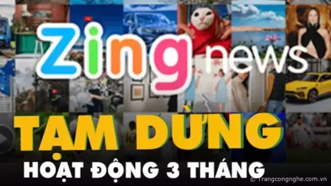 Tìm hiểu "Quyết định số 362/QĐ-TTg" là gì? Tại sao Zing phải tạm dừng 3 tháng?