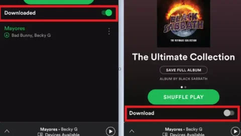 Spotify Free và Premium có những điểm gì khác nhau?