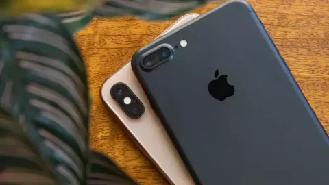 iPhone 15 sắp ra mắt, tại sao các mẫu iPhone đời cũ dưới 7 triệu vẫn thu hút tại Việt Nam?