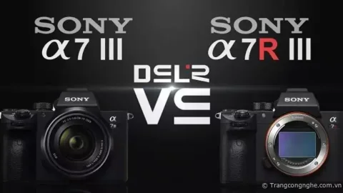 So sánh Sony A7 III và A7R III: Bạn lựa chọn sản phẩm nào?