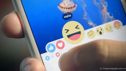 Hướng dẫn thả biểu tượng cầu vồng đang “làm mưa làm gió” trên Facebook
