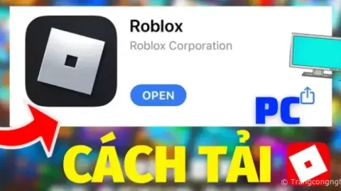 Roblox là gì ? Hướng dẫn tải và đăng ký tài khoản nhanh nhất