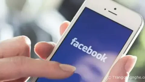Cách lấy đường link tên Facebook của mình trên điện thoại Andorid và iOs