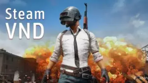 Steam chính thức hỗ trợ tiền Việt VND, trợ giá rất nhiều game hấp dẫn, PUBG còn 340k VND