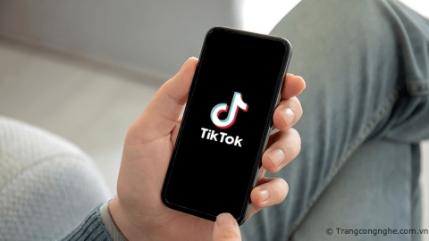TikTok tích hợp quảng cáo vào kết quả tìm kiếm trong một bản cập nhật quan trọng