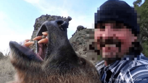 Selfie với gấu, người đàn ông bị cắn tử vong